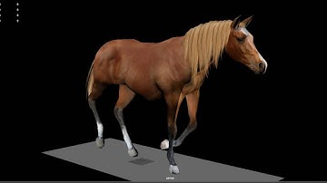 Advanced Horse Control for Unity 5 WIP