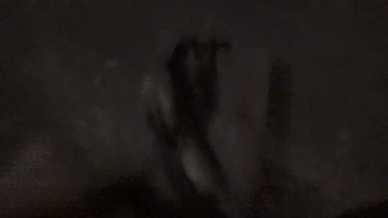 VHS Update For 1/11/2026