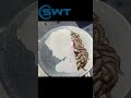 Fiber laser marking machine for printing photo on metal materials #lasermarkingmachine