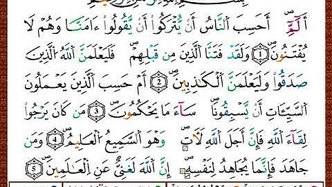 ختمة مصحف التجويد برواية قالون الصفحة رقم 396
