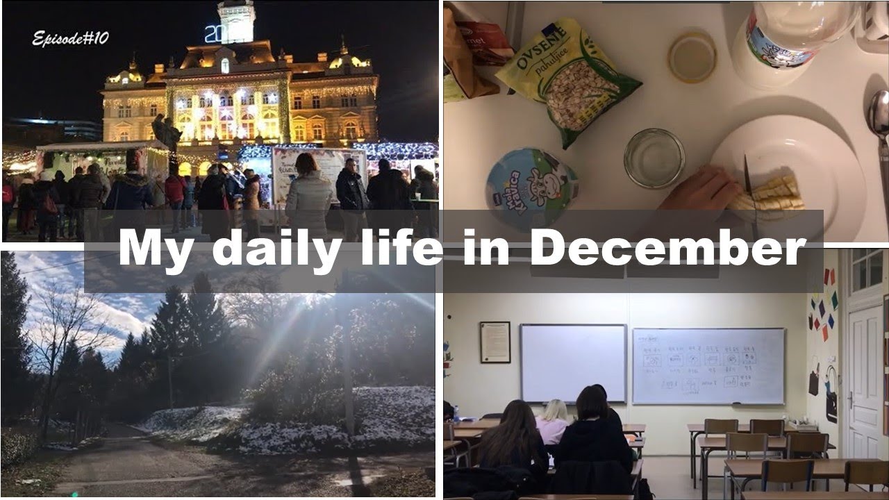 Serbia/My daily life in December 세르비아 12월 일상 [Episode10] YouTube