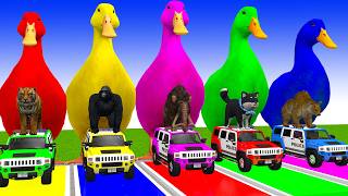 Long Slide Game With Cow Elephant Gorilla Hippopotamus Tiger 3d Animal Game Funny 3d Animals screenshot 3