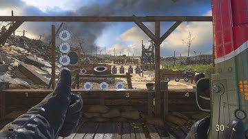 CoD WWII All Type 100 Variants!