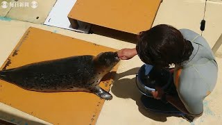 モフモフだったガブくん、大きくなって　沼津の水族館