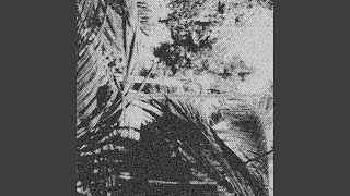 melodia #2 - C O M T E