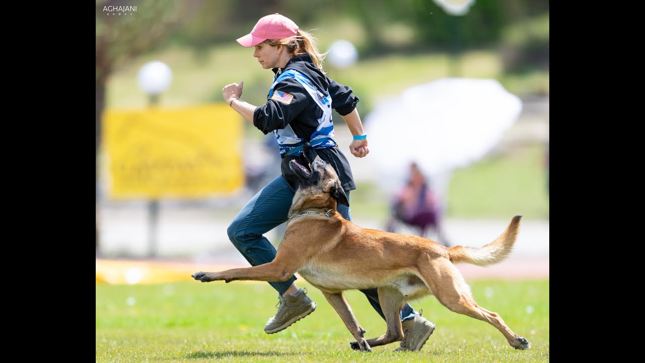 FMBB WORLD CHAMPIONSHIP- Sarah Prelle 91 Obedience Nasty Rick Rude