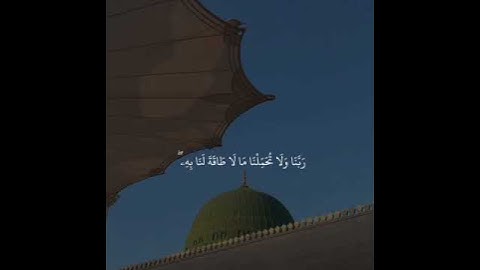 "خشوع يلامس القلوب: تلاوة عذبة للشيخ ناصر القطامي 🌿"