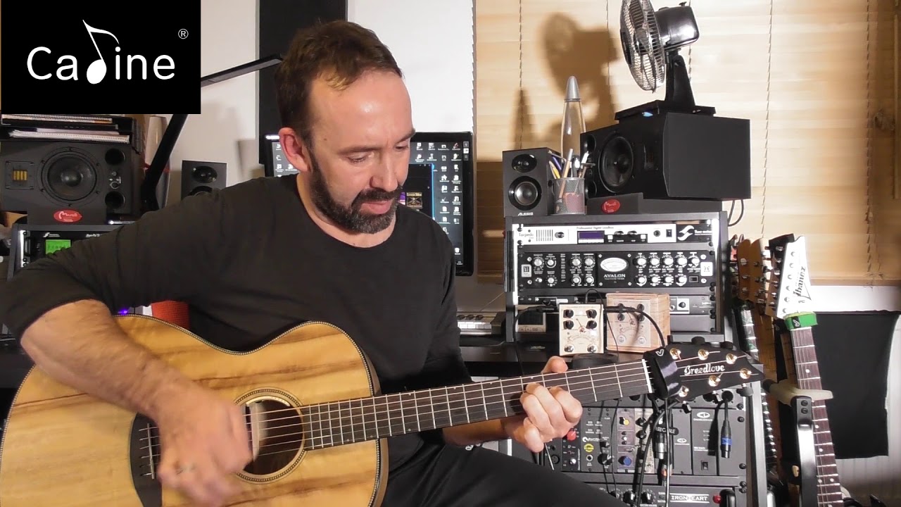 CP 40Caline Acoustic PreAmpDI