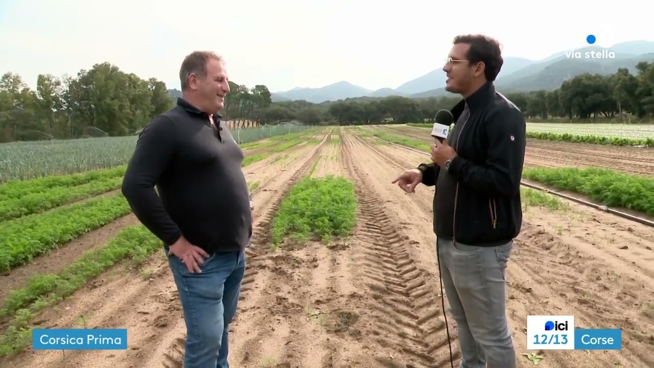 Per sti lochi dans le Valinco - Propriano-Sartène