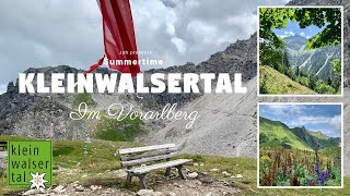 Sommer in Kleinwalsertal Vorarlberg  Wandern  Auenhütte, BärguntHütte & Fiderepasshütte