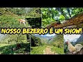 NOSSO BEZERRO É UM SHOW!🐂