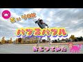 [バブるバブル] 「あぃりDX」 #踊ってみた #ダンス #チャレンジ