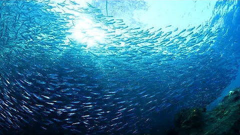 FALL INTO SLEEP INSTANTLY ~ Relaxing Music to Reduce Anxiety and Help You Sleep ~ Meditation :)