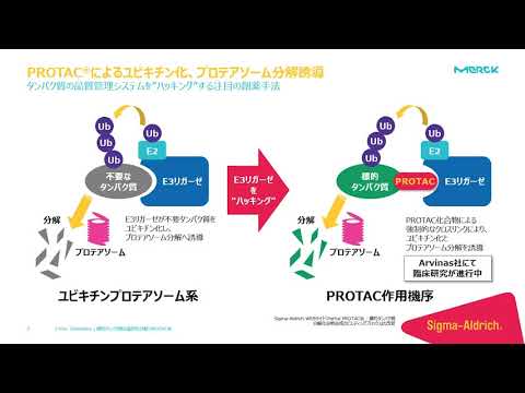 【3min. Chemistry】 標的タンパク質の選択的分解 PROTAC®