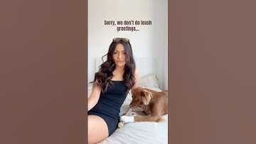 Sorry not sorry… #shorts #dogmom