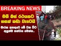 මගී බස් රථයකට ගසක් කඩා වැටෙයි.
