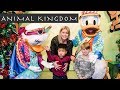 Animal Kingdom!! Lincoln's Disney Make-A-Wish!
