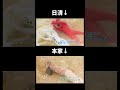 【比較】城本クリニックcm&日清カップヌードルcm #shorts