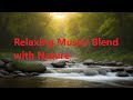 Relaxing Music, Gentle Deep Sleep Music, Calms Nervous System | Meditation, Yoga, Healing Music