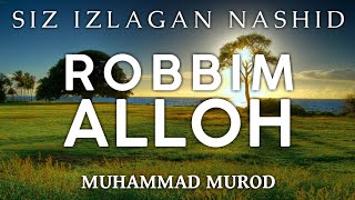 ROBBIM ALLOH | SIZ IZLAGAN NASHID | MUHAMMAD MUROD | НАШИД