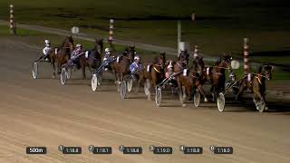 Vidéo de la course PMU PRIX FONS BAKKER - CHAMPION 2024