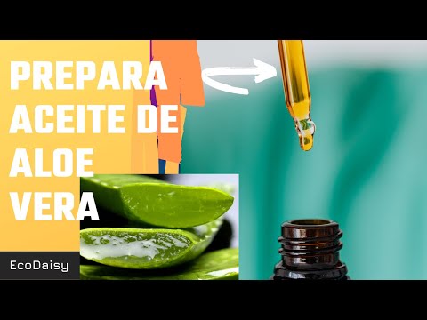 Prepara Aceite De Áloe Vera | EcoDaisy