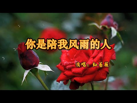 一首《你是陪我风雨的人》旋律优美动听,送给最爱的人