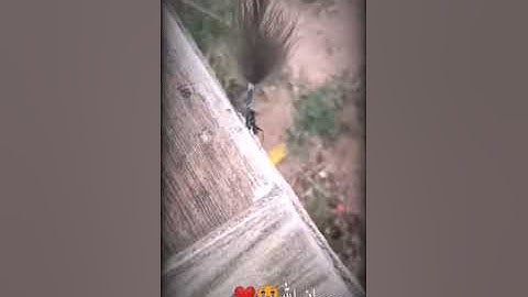 القارئ عبدالله الموسى (سورة النمل)