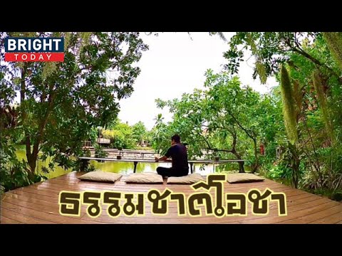 คาเฟ่น่านั่ง ธรรมชาติโอชา นนทบุรี | the next youtuber
