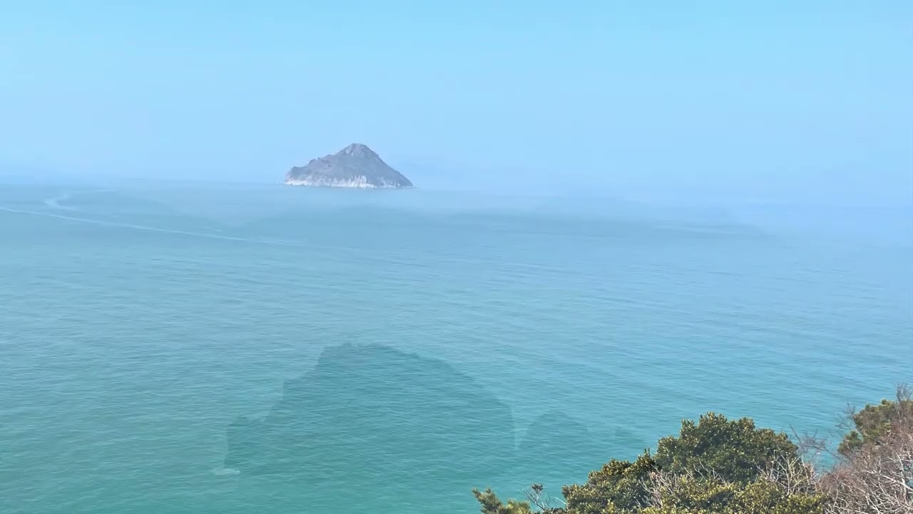 여수 초도 손죽도 봄소식