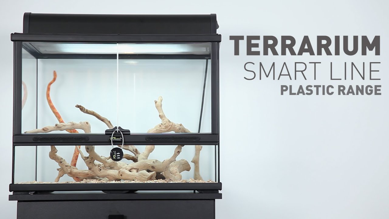 TERRARIUM SMART LINE YouTube