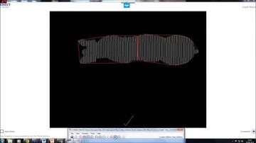 Pig Weight Estimation Using Kinect Depth Data