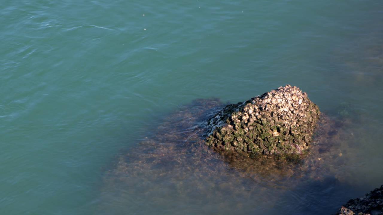 Blackmagic Ursa Mini 4.6k Video Profile