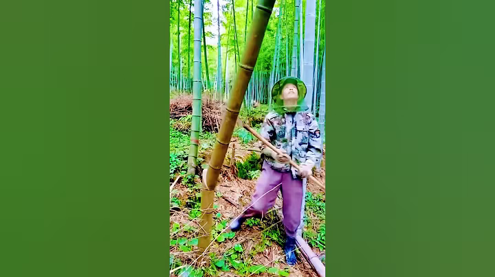 cool technique for cutting bamboo plants #shorts