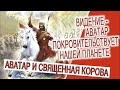 Видение - Аватар покровительствует нашей планете!