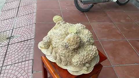 Vật thể quái dị Trên Lưng Cóc Thiềm Thừ Nu Nghiến