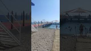 Gülten Aydin. Beldi̇bi̇