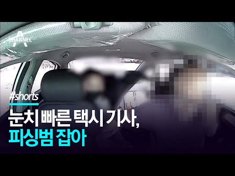 눈치 빠른 택시 기사, <strong>피싱범</strong> 잡아/ 채널A #Shorts