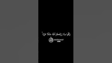 ماهر المعيقلي - سورة المائدة ( برواية حفص عن عاصم ) الأية 88