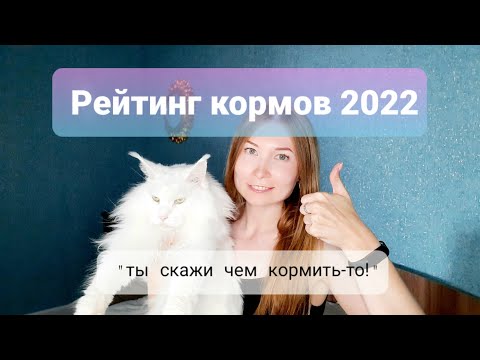 Рейтинг кормов для кошек 2022