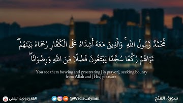 ﴿ محمد رسول الله ﴾ تلاوة شجية لنهاية سورة الفتح   وديع اليمني