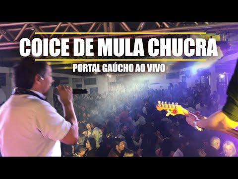 Portal Gaúcho - Coice de mula chucra (AO VIVO)
