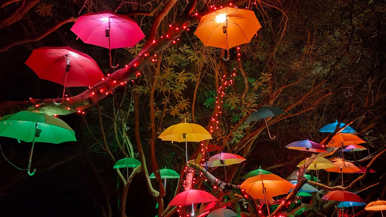 Lost gardens of Helligan, Night garden - Cornwall, UK 🙂