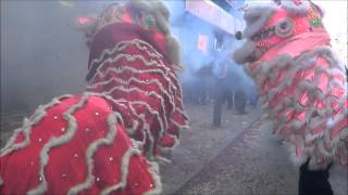 Chinese New Year Lion Dance In Philadelphia Chinatown 年節  费城华埠 舞狮