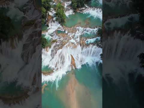 📍Agua Azul Waterfalls, Chiapas, Mexico 🇲🇽❤️