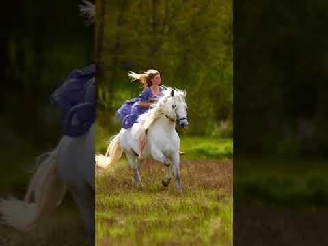 يا اهل الهوى كيف المحبه تهون