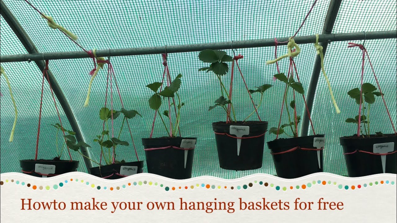 How to make a simple and free hanging basket - YouTube
