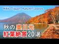 秋の奥日光 完全ガイド！紅葉絶景ベスト20選！いろは坂・華厳の滝・中禅寺湖・湯ノ湖・戦場ヶ原など / Autumn trekking in Oku Nikko, Japan [4K]