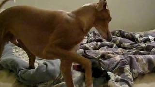 MVI_9525.AVI