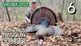 Dream Hunt For An Eastern Turkey Hunter Hardwoods Gobbler Turkey Hunting 2022